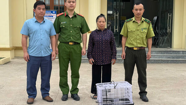 Người dân giao nộp cá thể động vật quý hiếm