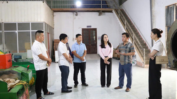 KHẢO SÁT TÌNH HÌNH SẢN XUẤT CHẾ BIẾN SẢN PHẨM CHÈ VÀ CÔNG TRÌNH CẤP NƯỚC TẠI XÃ THÁI BÌNH